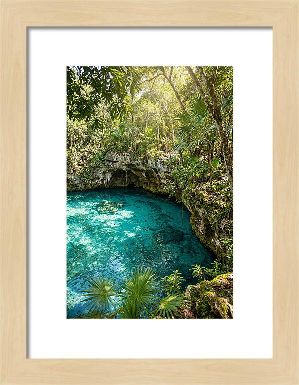 Cenote Crystal Oasis
