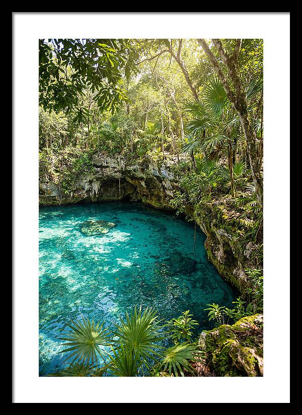 Cenote Crystal Oasis