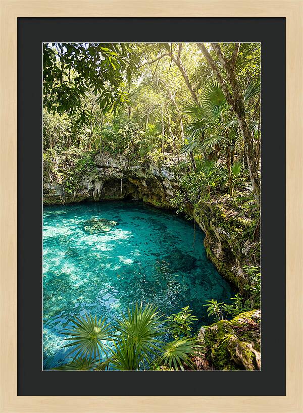 Cenote Crystal Oasis