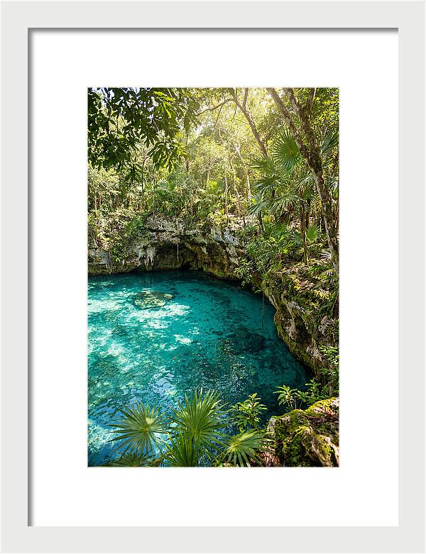 Cenote Crystal Oasis