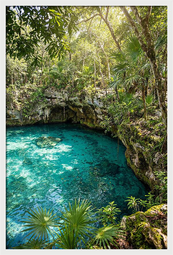 Cenote Crystal Oasis