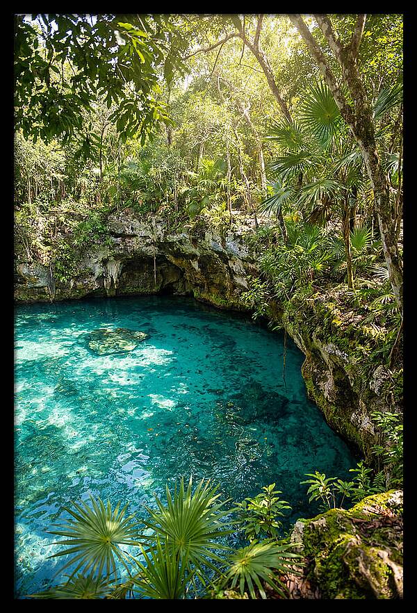 Cenote Crystal Oasis