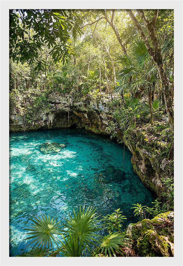 Cenote Crystal Oasis