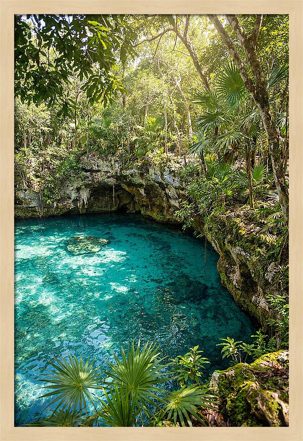 Cenote Crystal Oasis