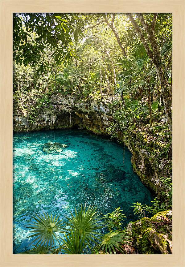 Cenote Crystal Oasis