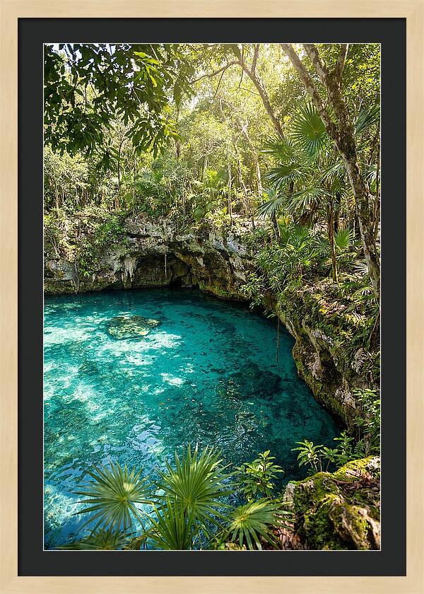 Cenote Crystal Oasis