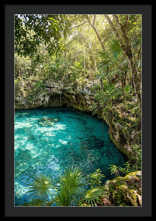 Cenote Crystal Oasis