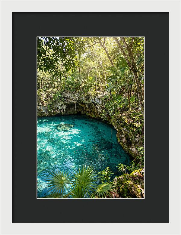 Cenote Crystal Oasis