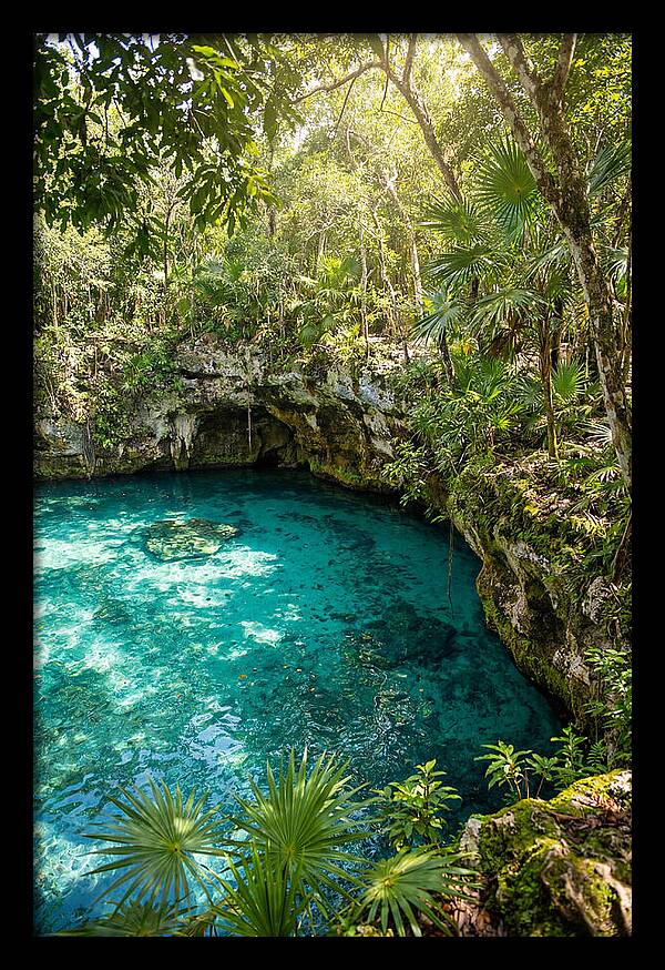 Cenote Crystal Oasis