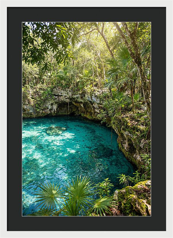 Cenote Crystal Oasis
