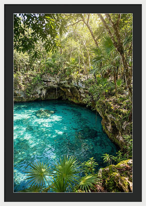 Cenote Crystal Oasis