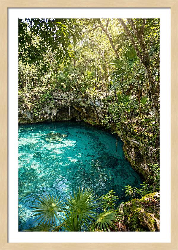 Cenote Crystal Oasis