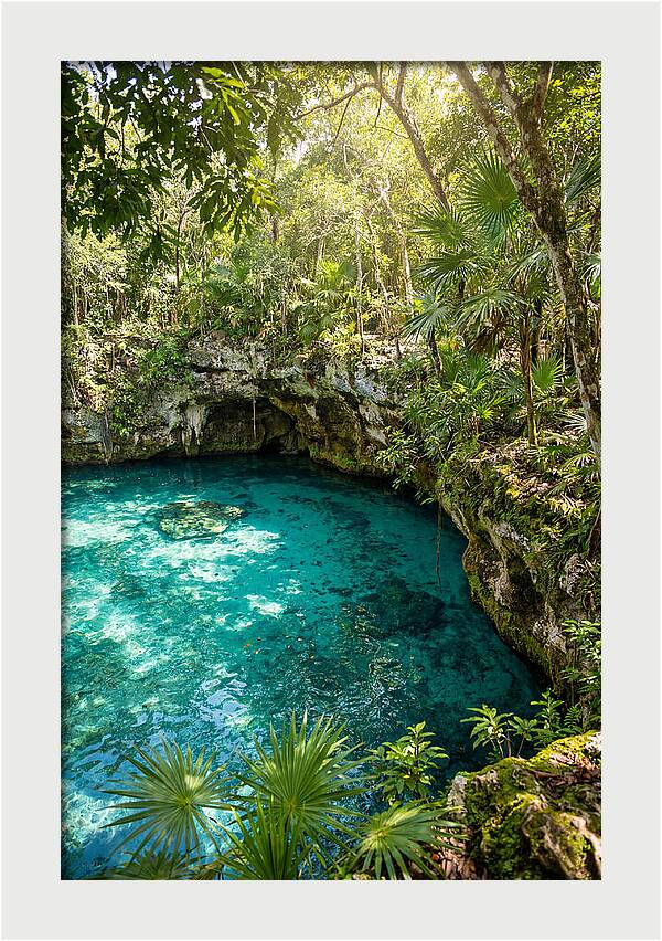 Cenote Crystal Oasis