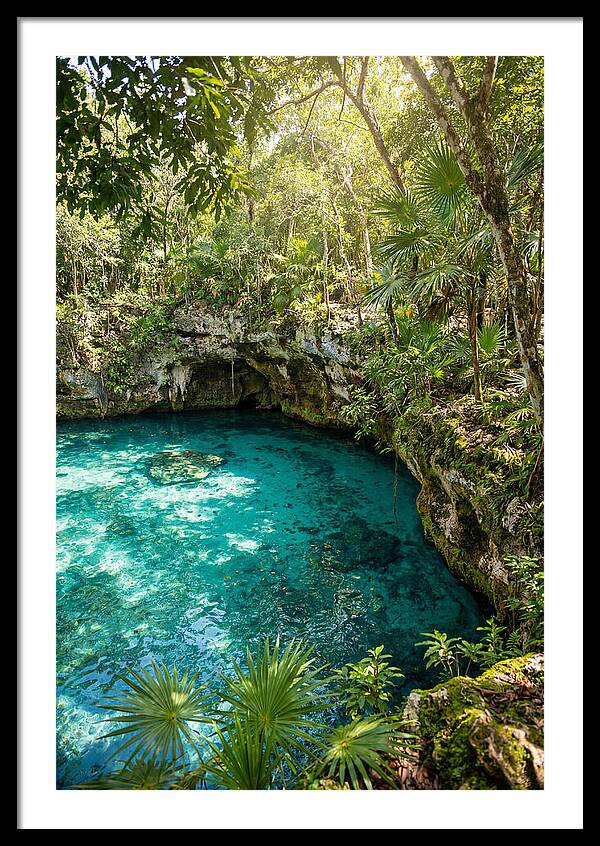 Cenote Crystal Oasis