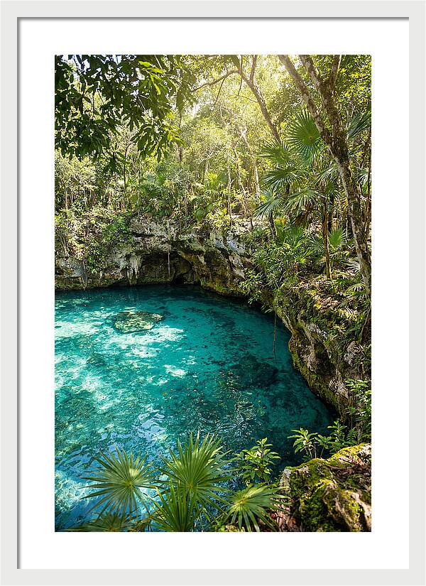 Cenote Crystal Oasis