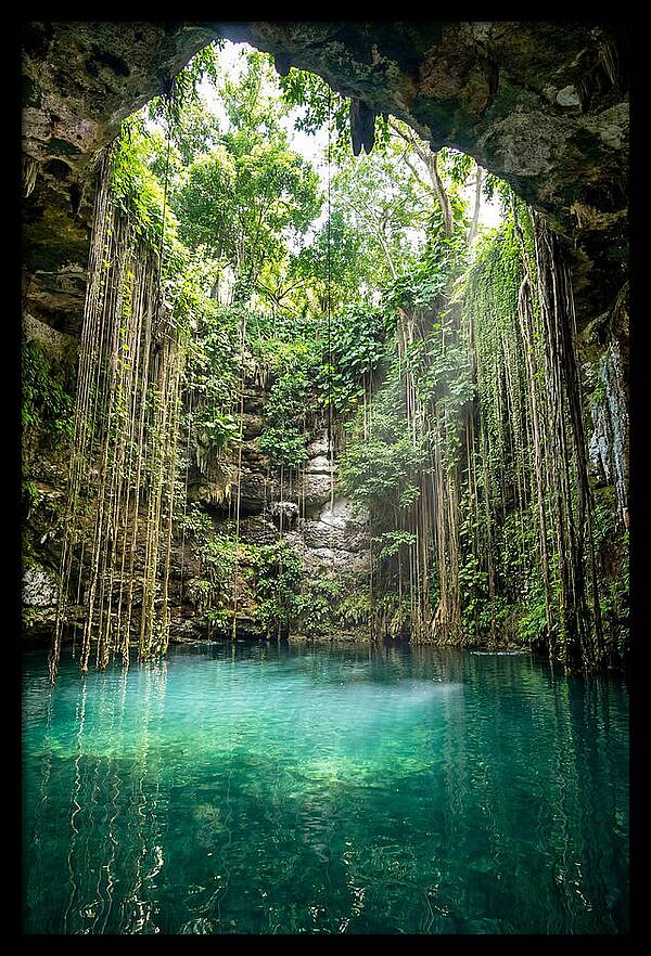 Cenote Ik Kil Serenity