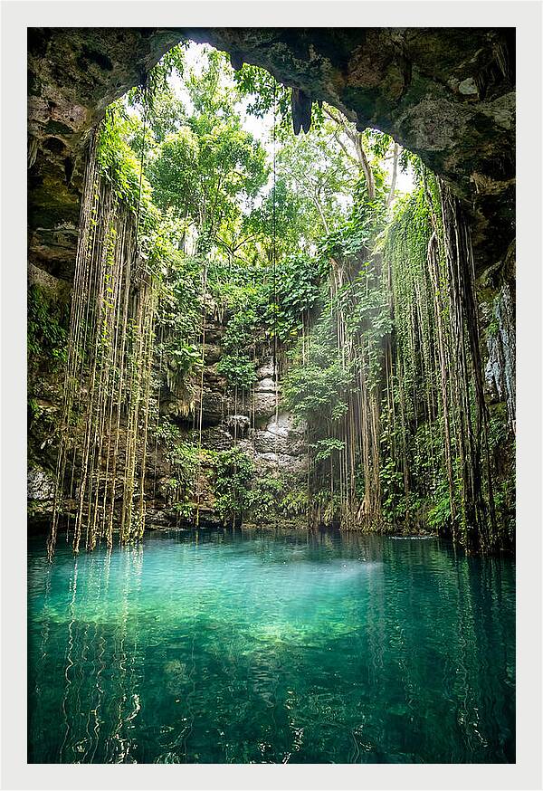 Cenote Ik Kil Serenity
