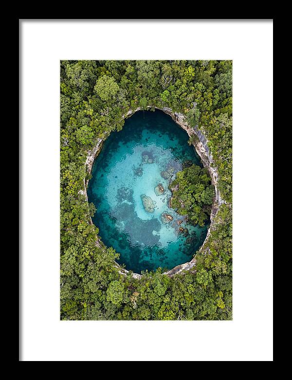 Cenote Oasis Surrounded By Nature