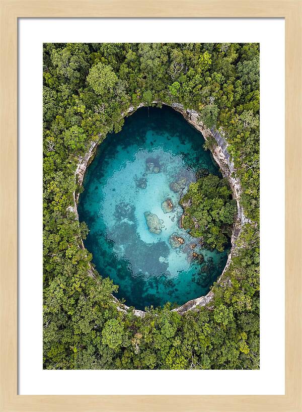 Cenote Oasis Surrounded By Nature