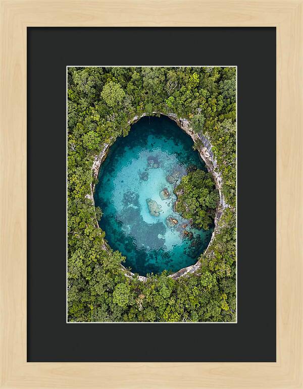 Cenote Oasis Surrounded By Nature