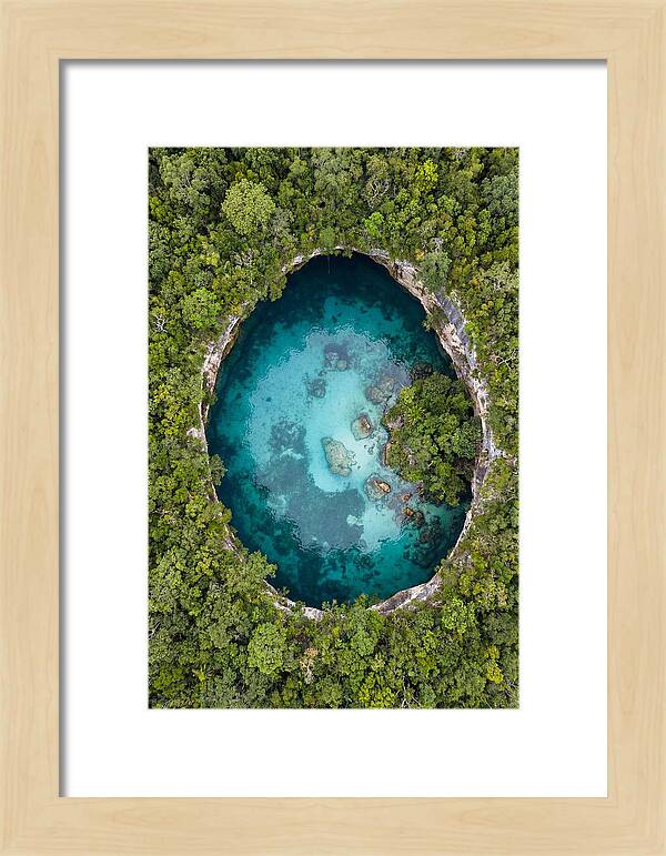 Cenote Oasis Surrounded By Nature