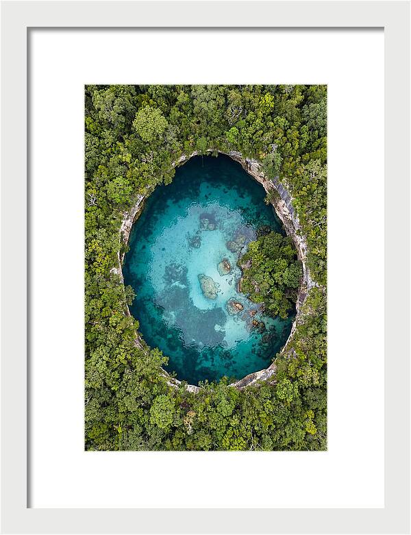 Cenote Oasis Surrounded By Nature