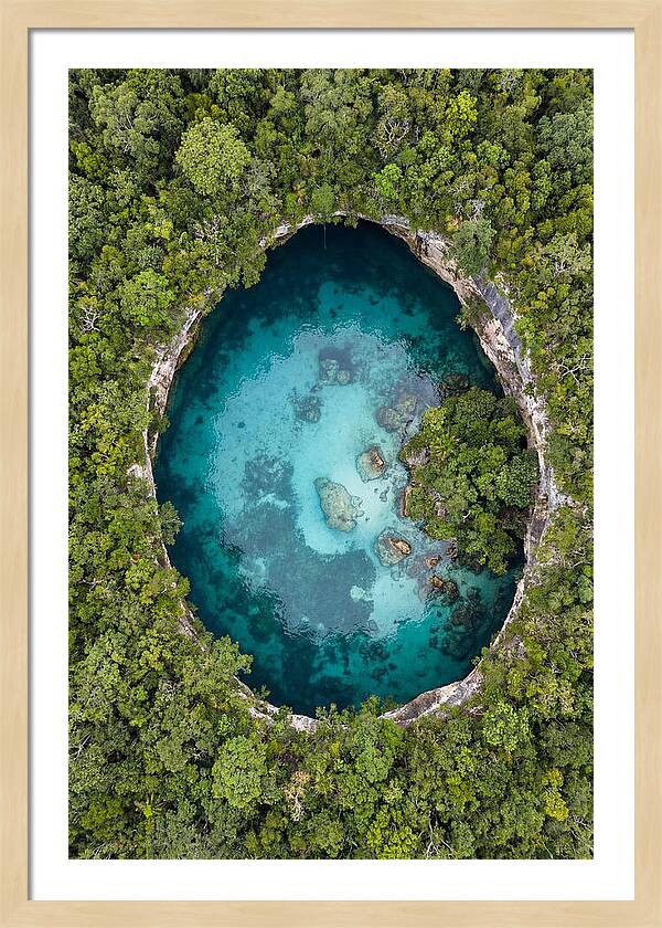 Cenote Oasis Surrounded By Nature