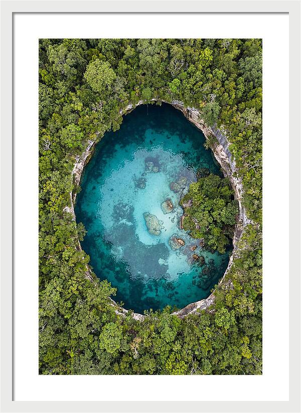 Cenote Oasis Surrounded By Nature