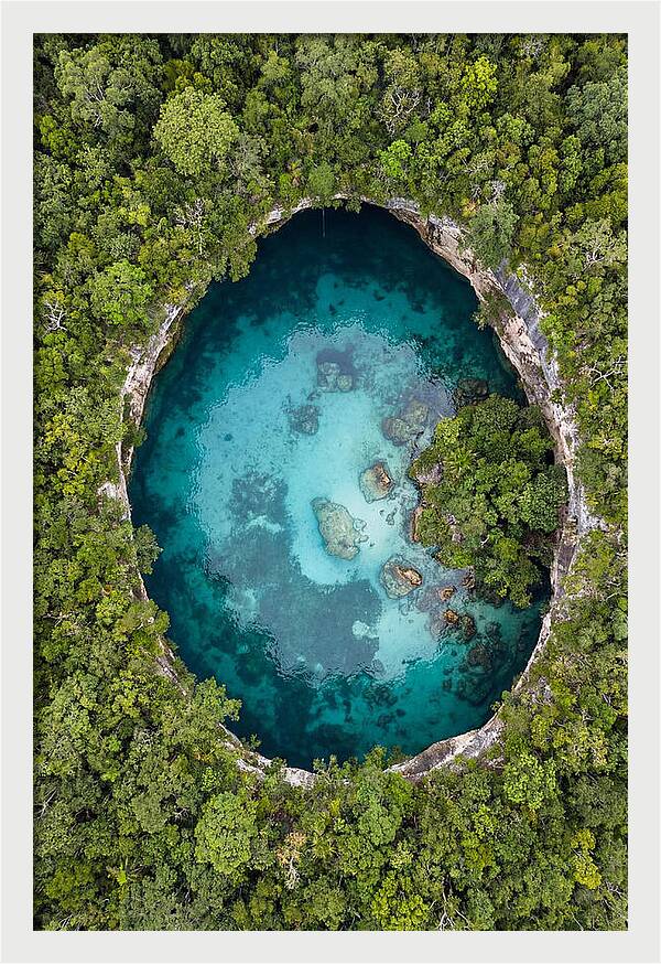 Cenote Oasis Surrounded By Nature
