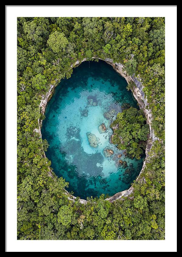 Cenote Oasis Surrounded By Nature