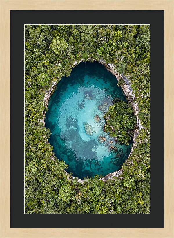 Cenote Oasis Surrounded By Nature