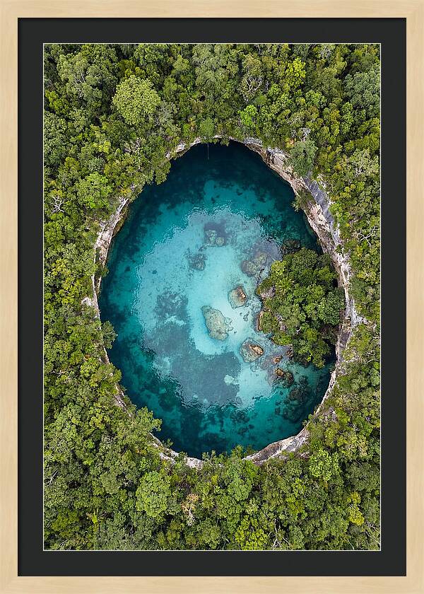 Cenote Oasis Surrounded By Nature