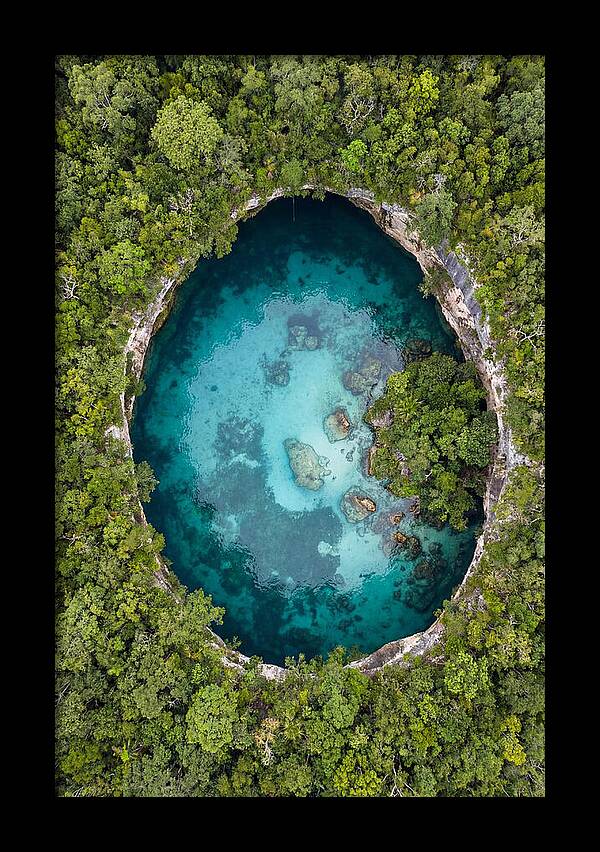 Cenote Oasis Surrounded By Nature