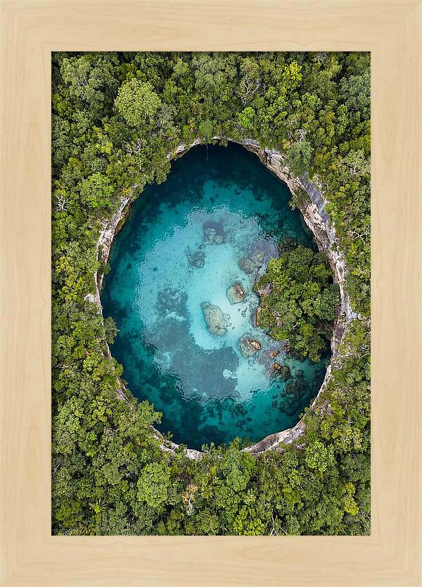 Cenote Oasis Surrounded By Nature