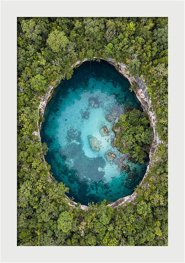 Cenote Oasis Surrounded By Nature