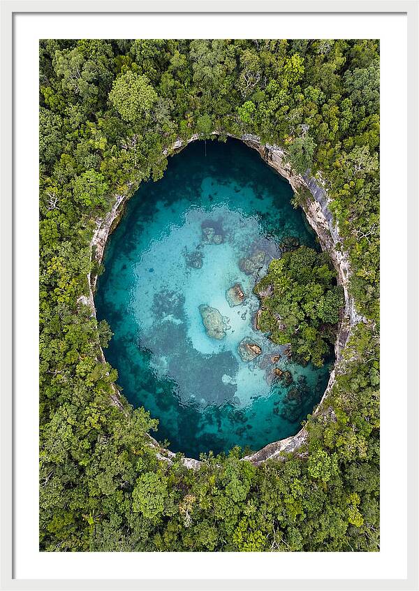 Cenote Oasis Surrounded By Nature