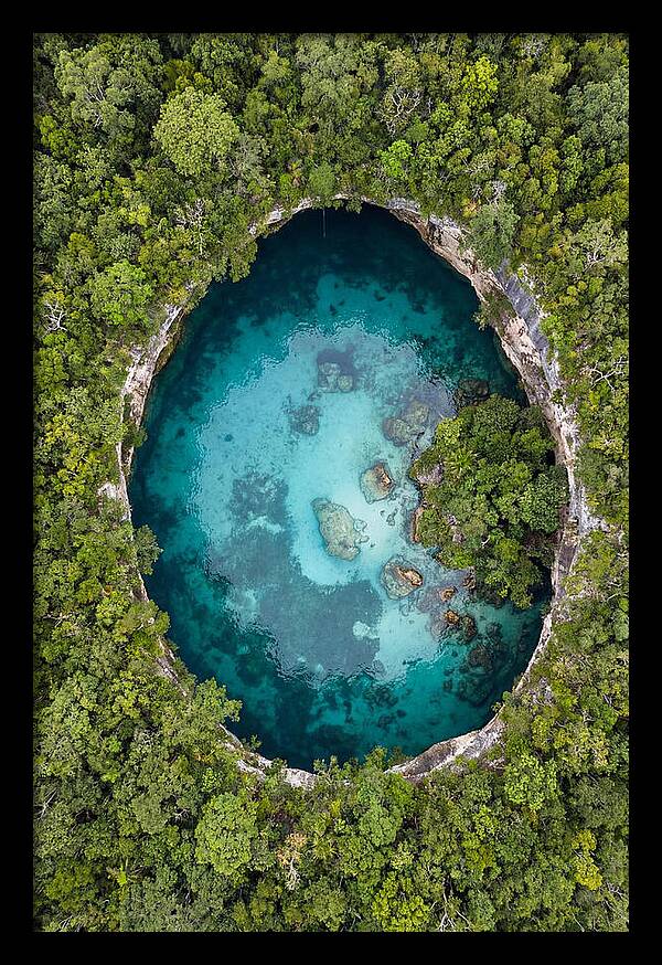 Cenote Oasis Surrounded By Nature