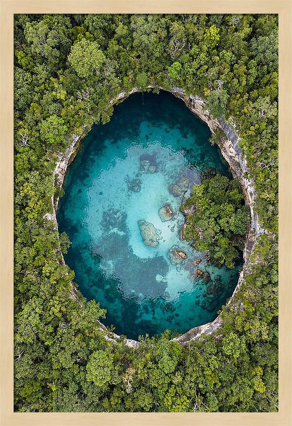 Cenote Oasis Surrounded By Nature