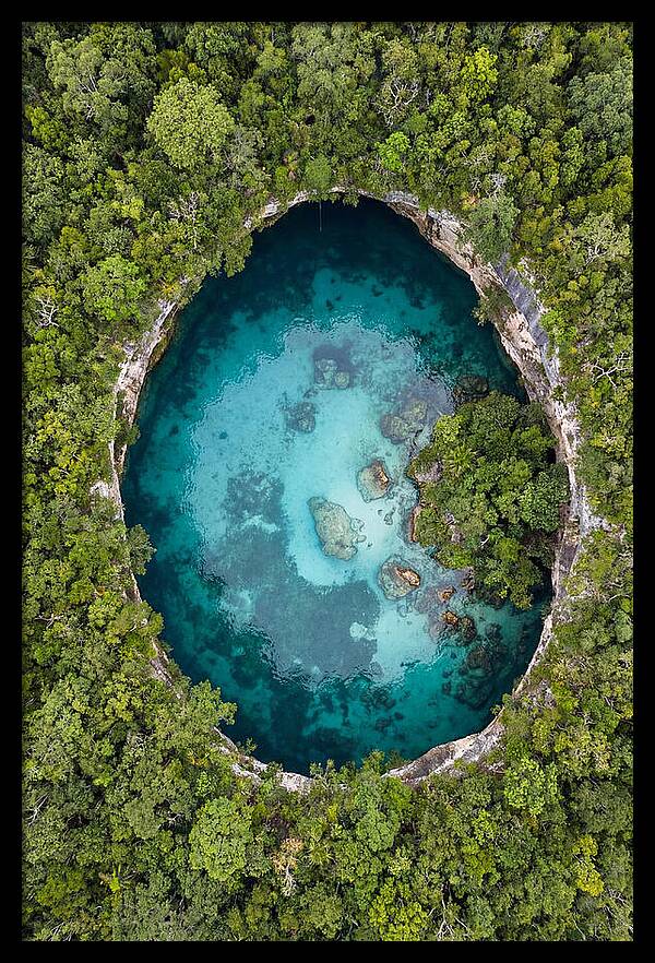 Cenote Oasis Surrounded By Nature