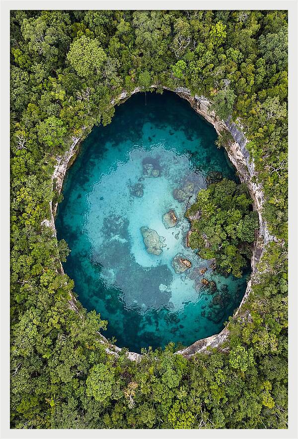 Cenote Oasis Surrounded By Nature