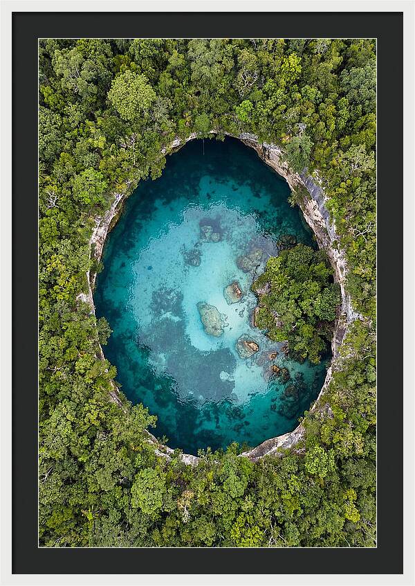 Cenote Oasis Surrounded By Nature