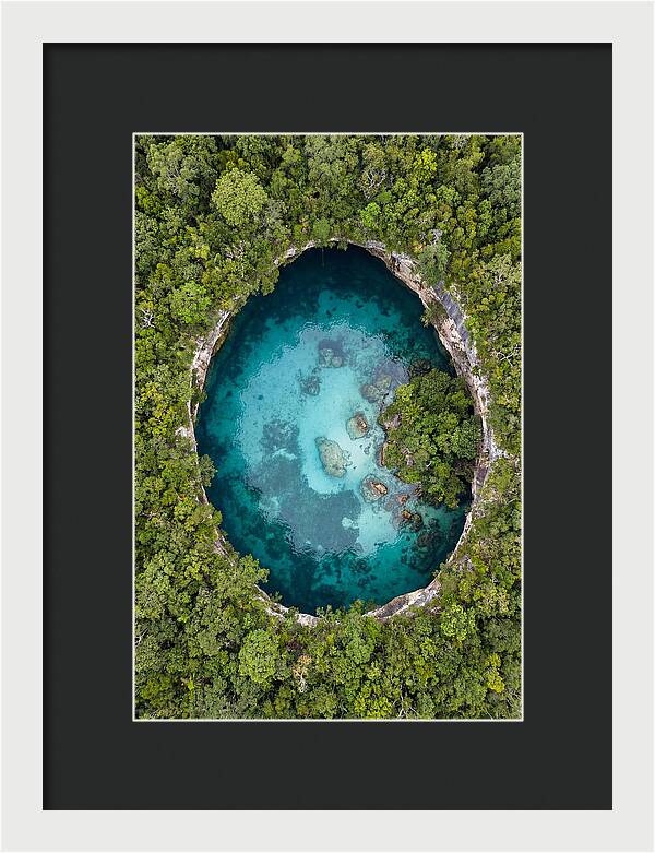 Cenote Oasis Surrounded By Nature