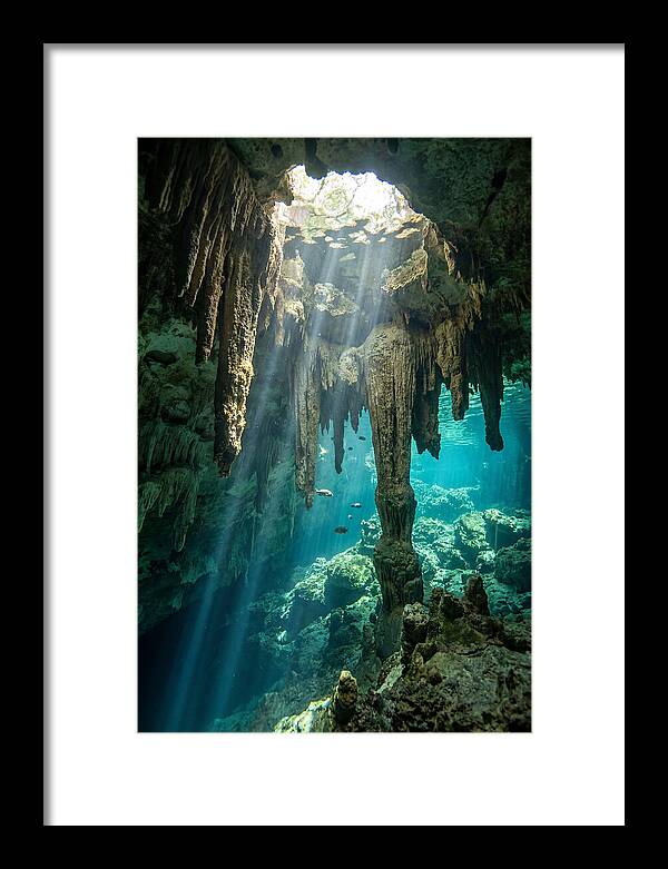 Cenote Stalactites
