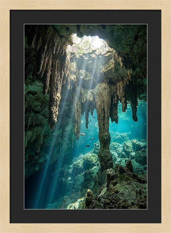 Cenote Stalactites