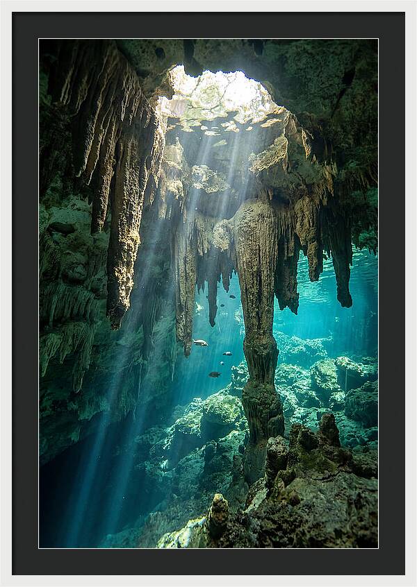 Cenote Stalactites