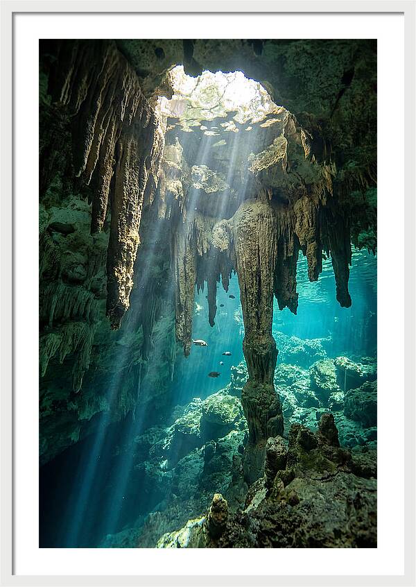 Cenote Stalactites