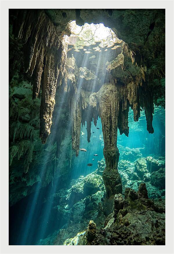 Cenote Stalactites