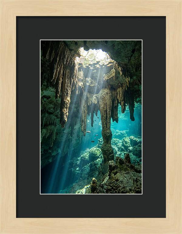 Cenote Stalactites