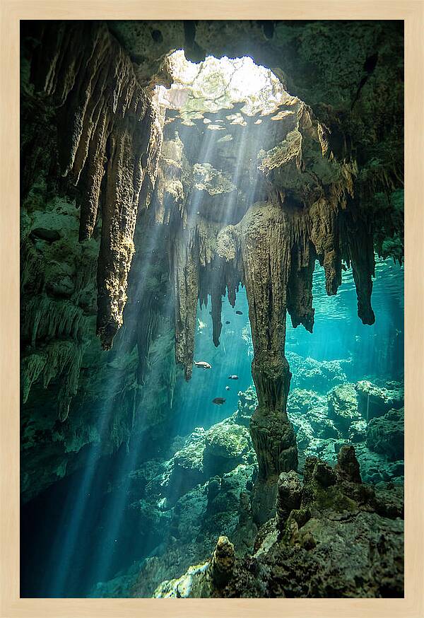 Cenote Stalactites