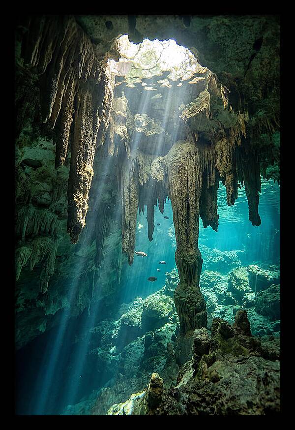 Cenote Stalactites